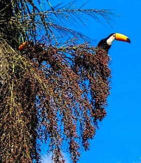 Miguel Pereira House | Casa em Miguel Pereira