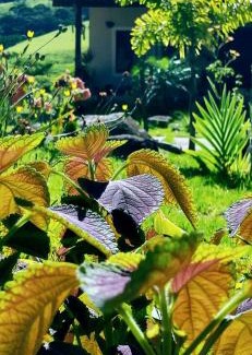 Macae House | Casa em Sana