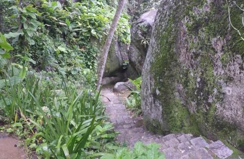 Praia da Fortaleza House | Casa em Ubatuba - Praia Brava da Fortaleza
