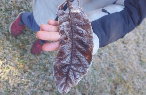 Vacas Gordas House | Casa em Urubici Sítio Pássaro D'água