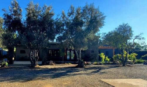 Ejido El Porvenir Bed & Breakfast | Casa Emiliana