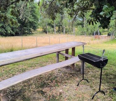 Lago Ranco Apartment | Casa entré Fundos