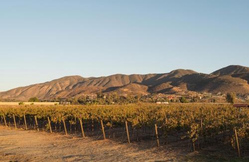 Valle de Guadalupe Bed & Breakfast | Casa Entrevez