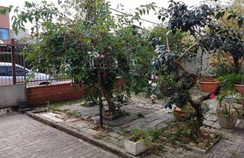 Centro House | Casa espaçosa 3 dorms no Centro de Bombinhas