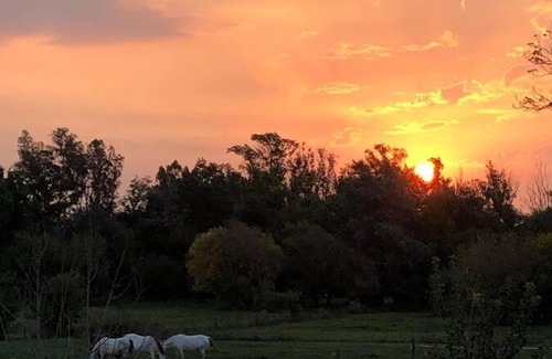 Capilla del Senor Apartment | Casa establo