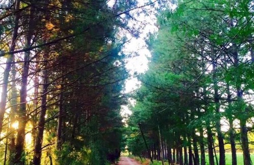 Capilla del Senor Apartment | Casa establo