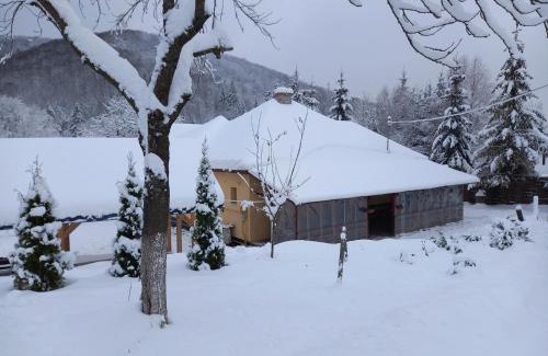 Cavnic House | Casa Family Time
