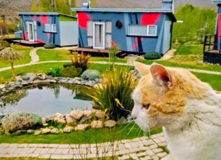 Las Vegas Cabin | CASA FARO ARTE