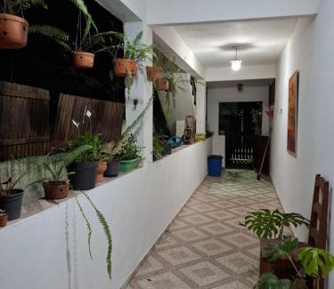 Lumiar House | Casa Flor 2- Centro vista p o Rio