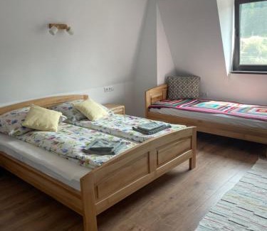 Borsec House | Casa Forrás