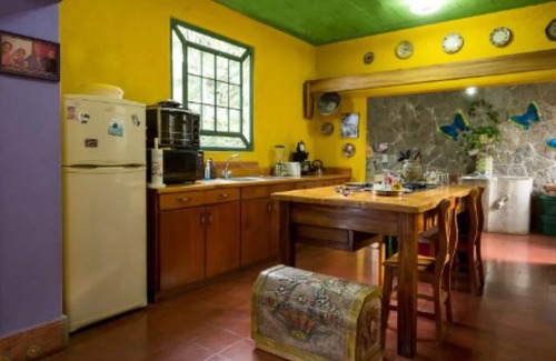 Zona 12 House | Casa Frida Khalo en Pana