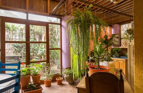 Zona 12 House | Casa Frida Khalo en Pana