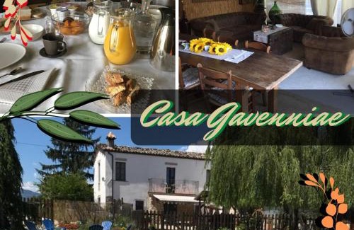 Nocciano Bed & Breakfast | Casa Gavenniae