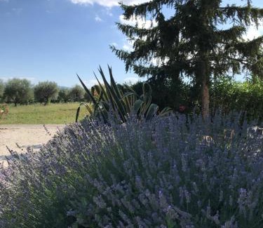 Nocciano Bed & Breakfast | Casa Gavenniae