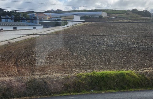 Santa Maria do Castelo e Sao Miguel House | Casa Gene Está Inserida Numa Zona Perfeita Para Descansar