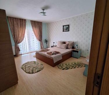 Baile Herculane Cabin | Casa Geo & Oana