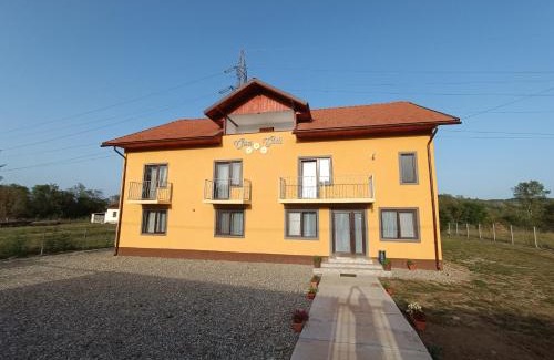 Godinesti House | Casa Godi