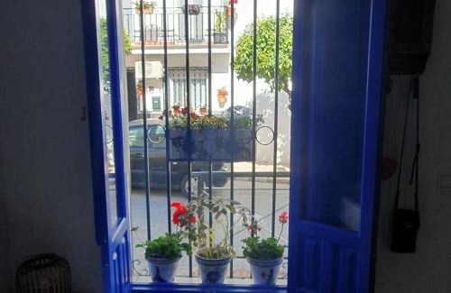 Monda House | Casa Haarlemeña
