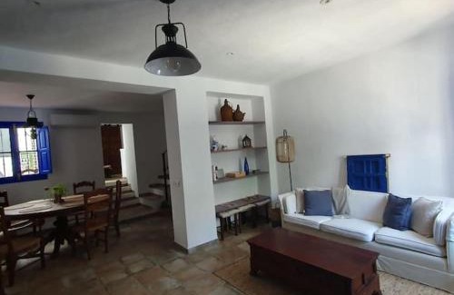 Monda House | Casa Haarlemeña