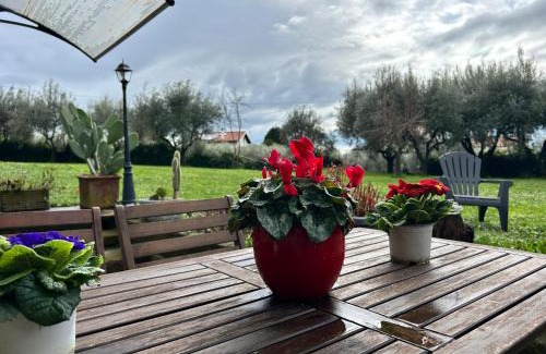 Velletri Apartment | Casa Holly