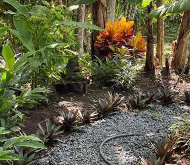 Daniel Flores House | Casa Hummingbird Peace & Nature