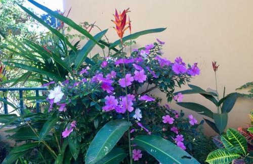 Santa Teresa Bed & Breakfast | Casa igba