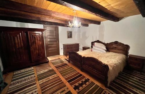 Birsana House | Casa Ilenucăi