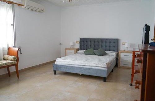 Tous House | casa imperial