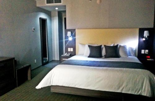 Celaya Hotel | Casa Inn Galerias Celaya