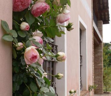 Vaglio Serra House | Casa Isabella
