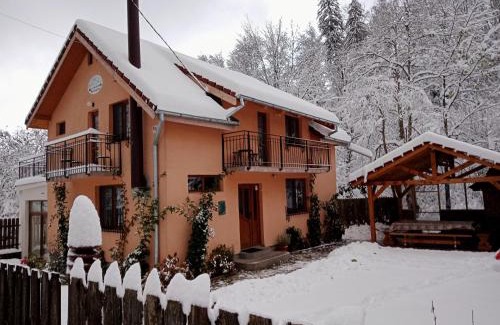 Cartisoara House | Casa Iulia & Matei