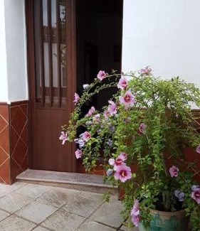 Puerto Moral House | Casa Jara
