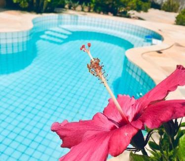 Jijoca de Jericoacoara House | CASA JERI com Pescina