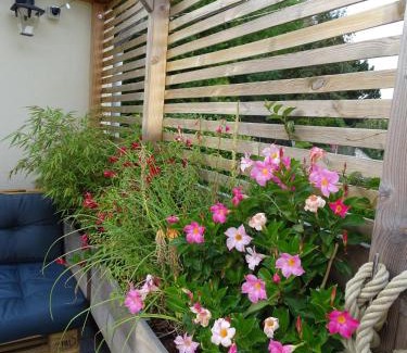 Duvy House | Casa Juno