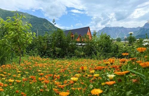 Kazbegi Ski Chalet | Casa KamArea