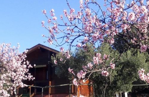 Tahal House | Casa La Colina Mandarina I