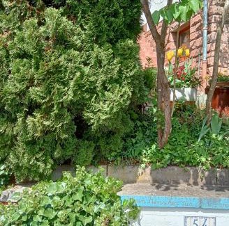 Eberbach Apartment | Casa la Collina delle Ginestre