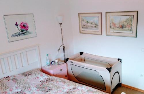 Eberbach Apartment | Casa la Collina delle Ginestre