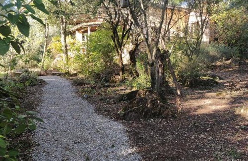 Castano del Robledo Ski Chalet | CASA LA INDIANA