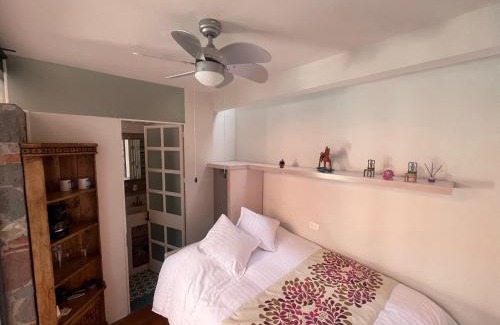 Colonia San Antonio Apartment | Casa La Luz 5