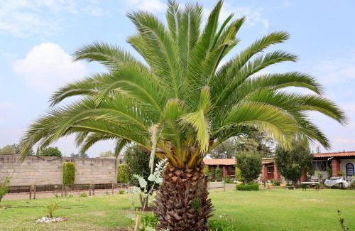 Jocotitlan Apartment | Casa La Palma, Jocotitlan