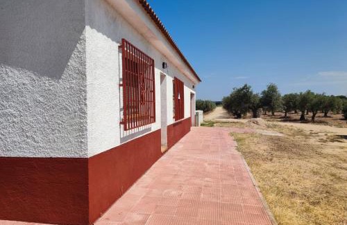 Villa del Prado House | Casa la Poveda