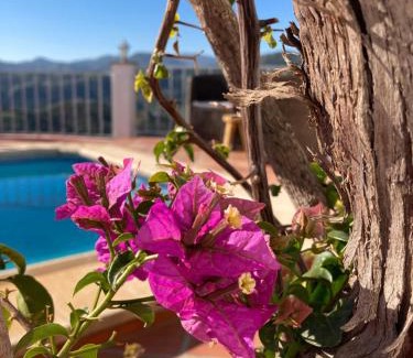 Riogordo Bed & Breakfast | Casa la Quinta