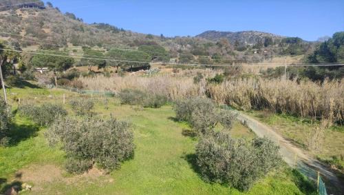 Lacona House | CASA LACONA