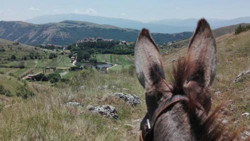 Santo Stefano di Sessanio Apartment | Casa Ladyhawke