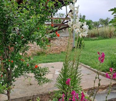 Ivaylovgrad House | Casa Lambuh