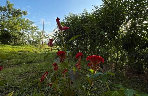 Las Delicias House | Casa Lapa Delicias