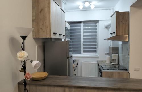 Jibert Apartment | Casa Larisa