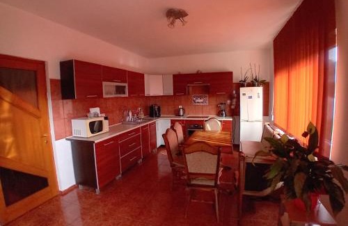 Viseu de Sus House | Casa Larisa