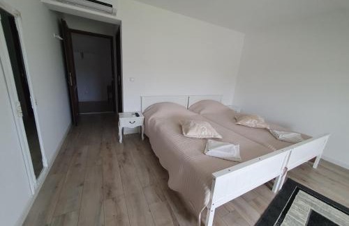 Peceneaga House | Casa Laura